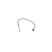 NRF Exhaust Gas Temperature Sensor before soot partic 707186