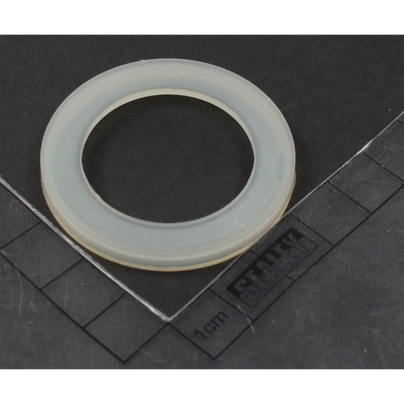 Sealey Back-up washer