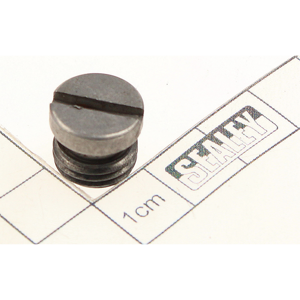 Sealey Guide screw
