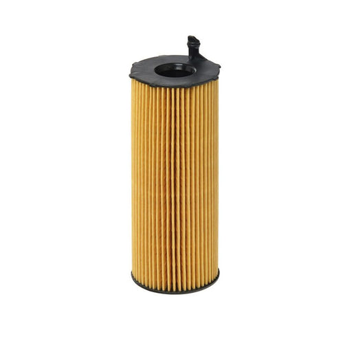 Hengst Engine Oil Filter E73H D134