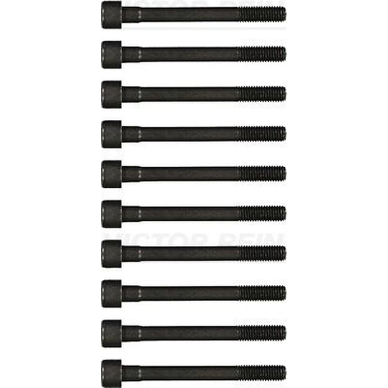 Victor Reinz Cylinder Head Bolt Set M10 14-55006-01