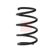 Apec Front Suspension Coil Spring ACS2439