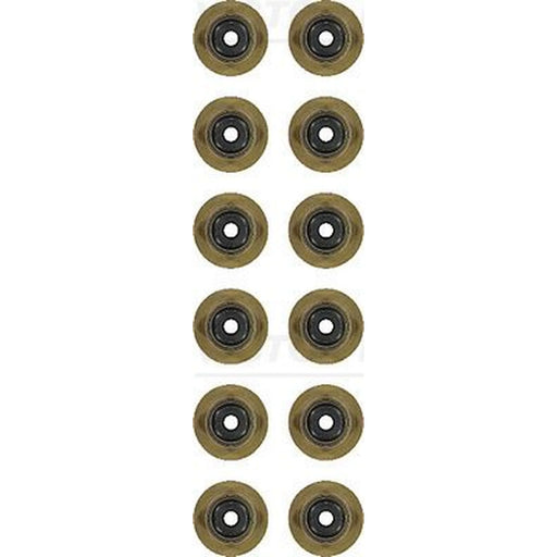 Victor Reinz Valve Stem Seal Set ID High 12-54269-01