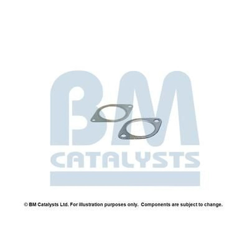 BM Catalysts Fitting Kit FK11149A FK11149A