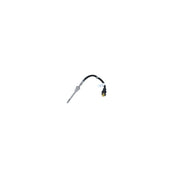 NRF Exhaust Gas Temperature Sensor before soot partic 707151