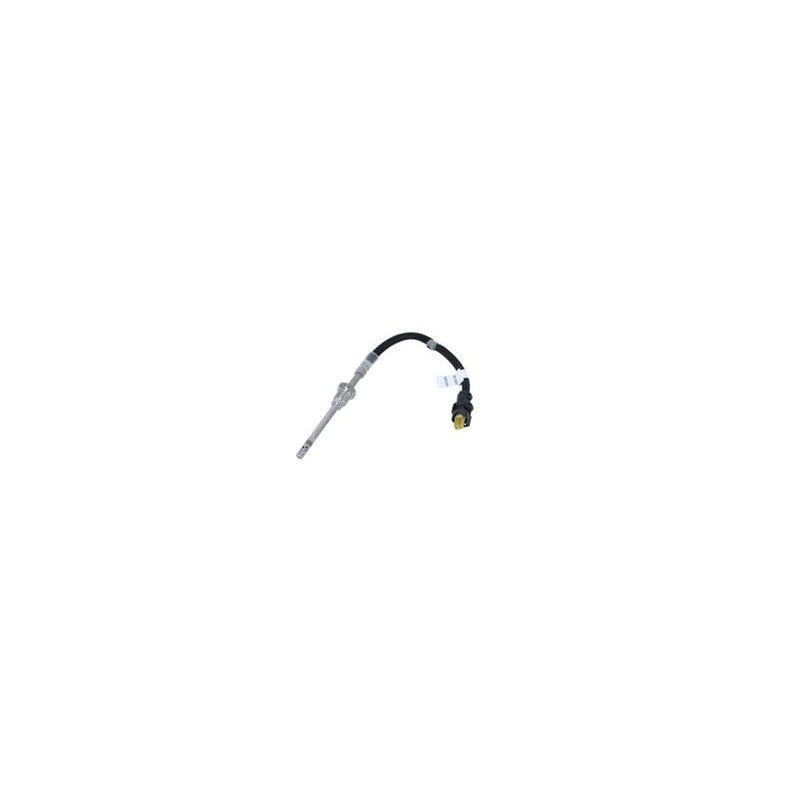 NRF Exhaust Gas Temperature Sensor before soot partic 707151