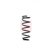 Apec 2 x Suspension Springs ACS1526