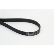 Continental CTAM Multi V-Ribbed Drive Belt 7PK1970