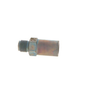 Bosch Fuel Rail Pressure Relief Valve (Common Rail Diesel) 1 110 010 037