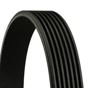 Continental CTAM Multi V-Ribbed Drive Belt 7PK2418
