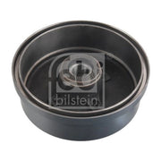 Febi Brake Drum Assembly Rear 171003