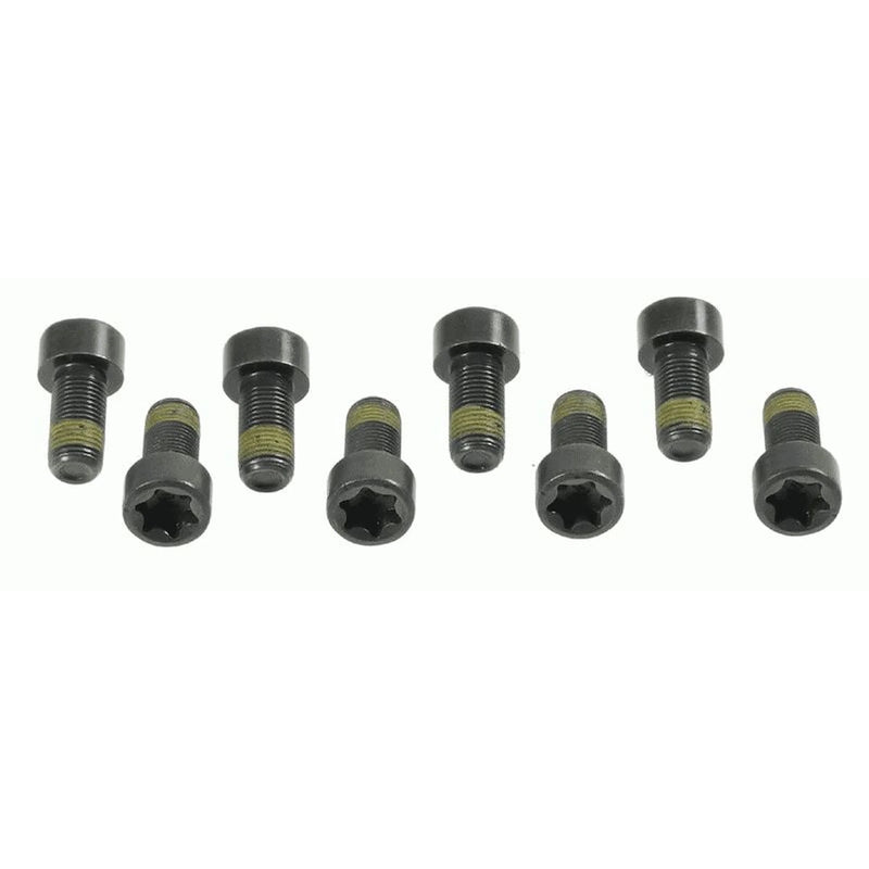Sachs Dmf Screw Set (Special Order) 1874000006