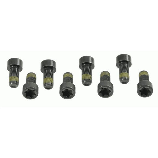Sachs Dmf Screw Set (Special Order) 1874000006