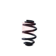 Apec Rear Suspension Coil Spring ACS2321