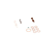 Bosch Fuel Pump Repair Kit 2 447 010 004