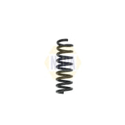 NAPA Rear Suspension Coil Spring NCS1627