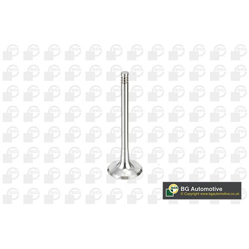 BGA Engine Intake Valve 29mm Head V163720