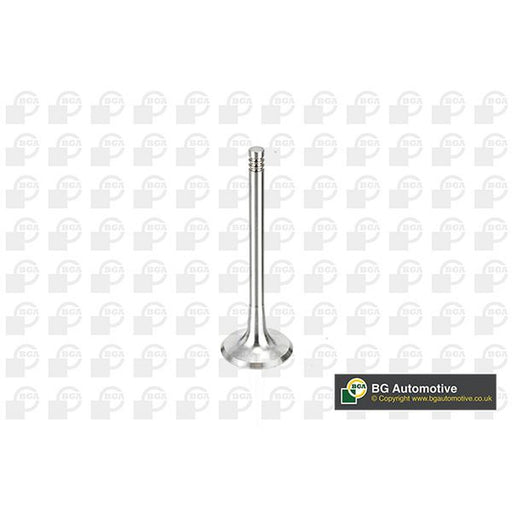 BGA Engine Intake Valve 29mm Head V163720