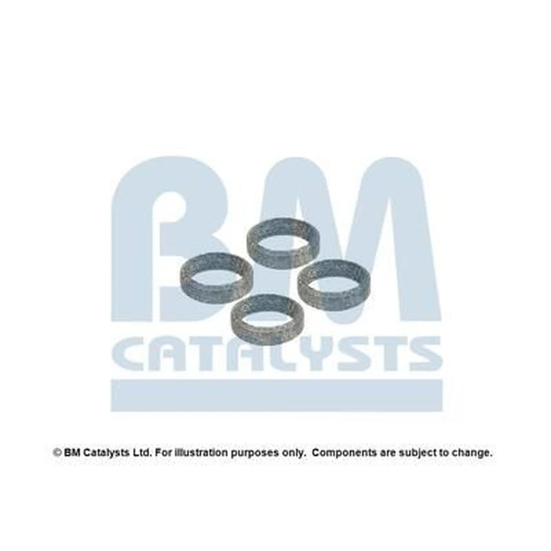 BM Catalysts Fitting Kit FK11031A FK11031A