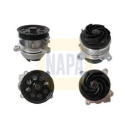 NAPA Engine Cooling Water Pump NWP1595