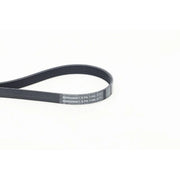 Continental CTAM Multi V-Ribbed Drive Belt 6PK1195