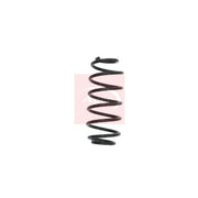 Apec 2 x Suspension Springs ACS1631