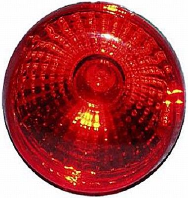 Hella 2SB 965 039-137 Tail Light Assembly