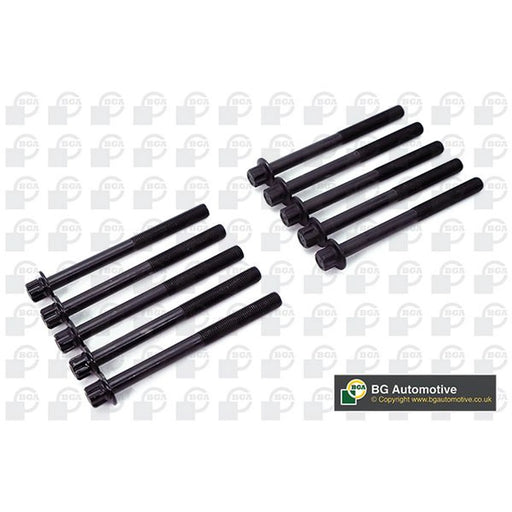 BGA Cylinder Head Bolt Set M11 BK2318