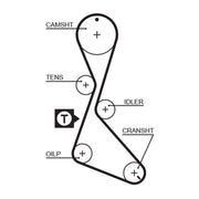 Gates Timing Belt Kit with Rollers K015370XS