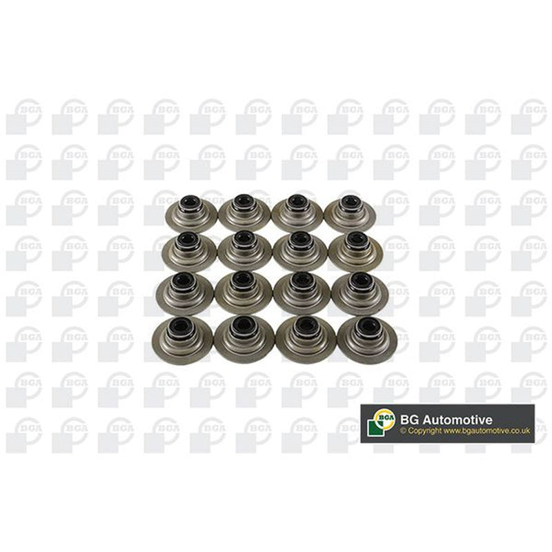 BGA Valve Stem Seal Set ID High VK5343