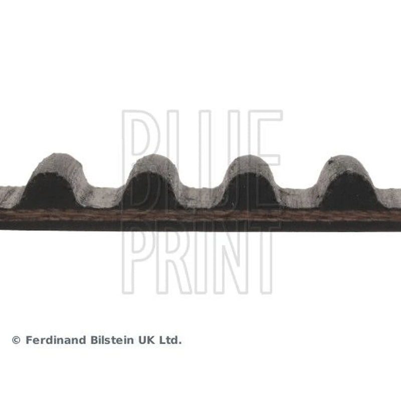 Blue Print Timing Belt Cambelt 124 Teeth ADH27517