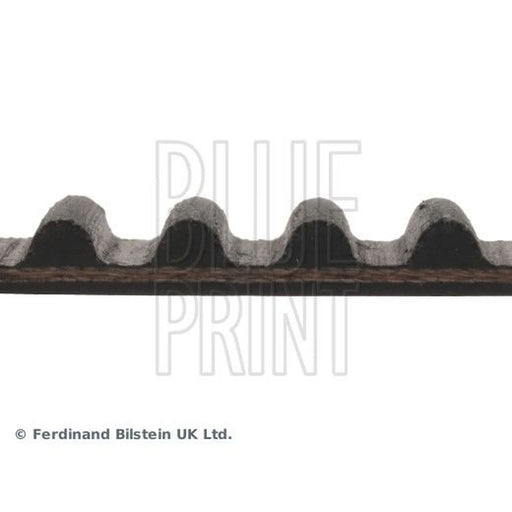 Blue Print Timing Belt Cambelt 124 Teeth ADH27517