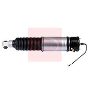 Apec Air Suspension Strut Shock AAS1110