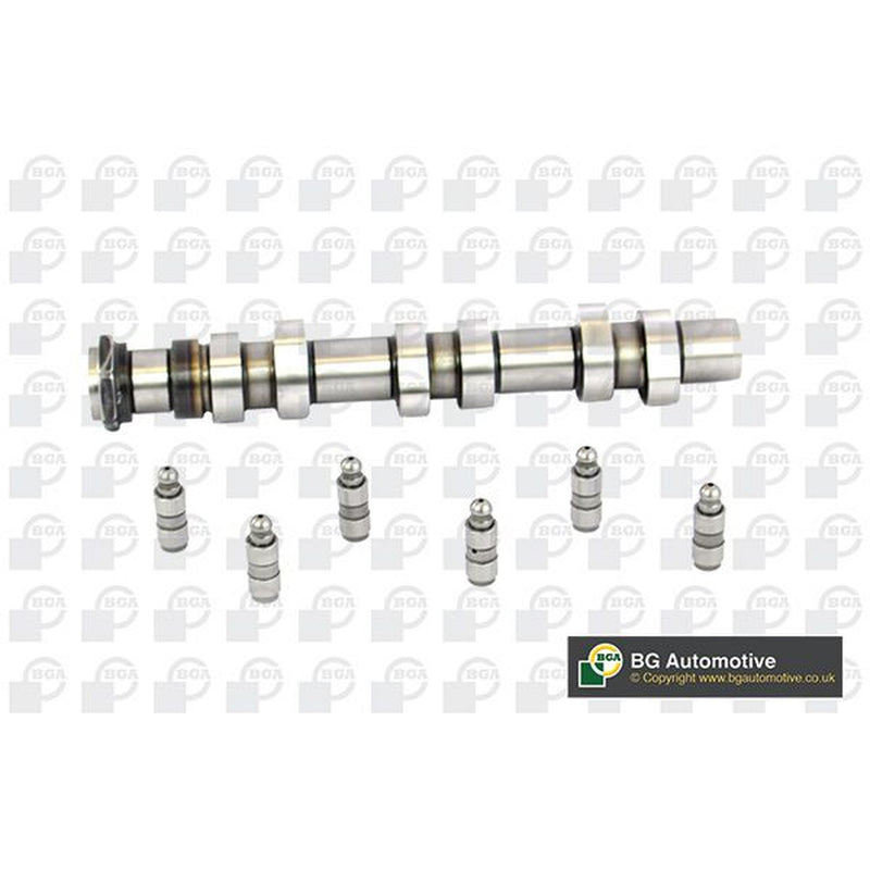 BGA Camshaft Kit Set With Bearings Intake Side CS8200K