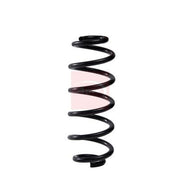 Apec Rear Suspension Coil Spring ACS2272