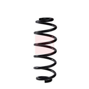Apec Rear Suspension Coil Spring ACS2272