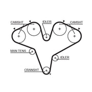 Gates Timing Belt Cambelt 228 Teeth T251RB