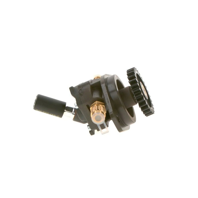 Bosch Fuel Pump Assembly 0 440 020 036
