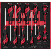 Teng Tools Screwdriver Set FOAM2 11 Pieces