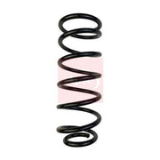 Apec Rear Suspension Coil Spring ACS2046