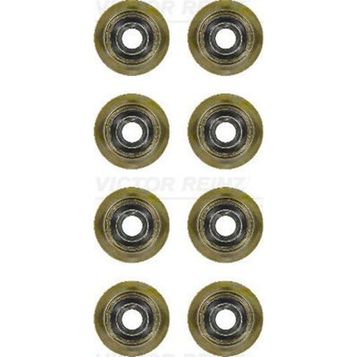 Victor Reinz Valve Stem Seal Set ID High 12-35893-01