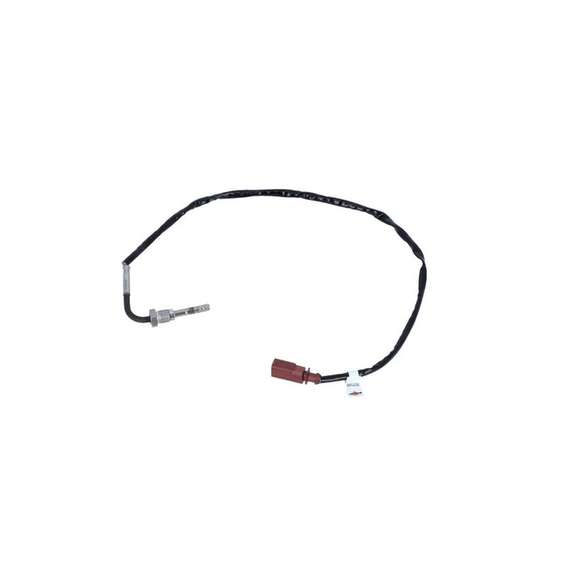 NRF Exhaust Gas Temperature Sensor before soot particulate filter 707169