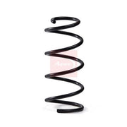 Apec Front & Rear Suspension Springs ACS1624
