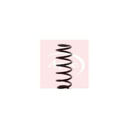 Apec Rear Suspension Coil Spring ACS1344