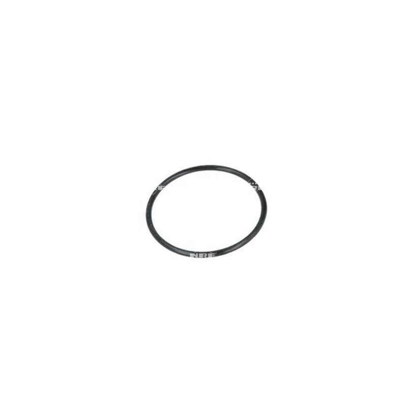 NRF Thermostat,Coolant 725289