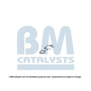 BM Catalysts Fitting Kit FK92784A FK92784A
