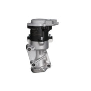 Valeo Exhaust Gas Recirculation Valve 703376