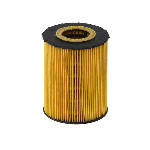 Hengst Engine Oil Filter E203H04 D67
