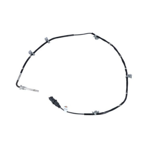 NRF Exhaust Gas Temperature Sensor before soot particulate 707105