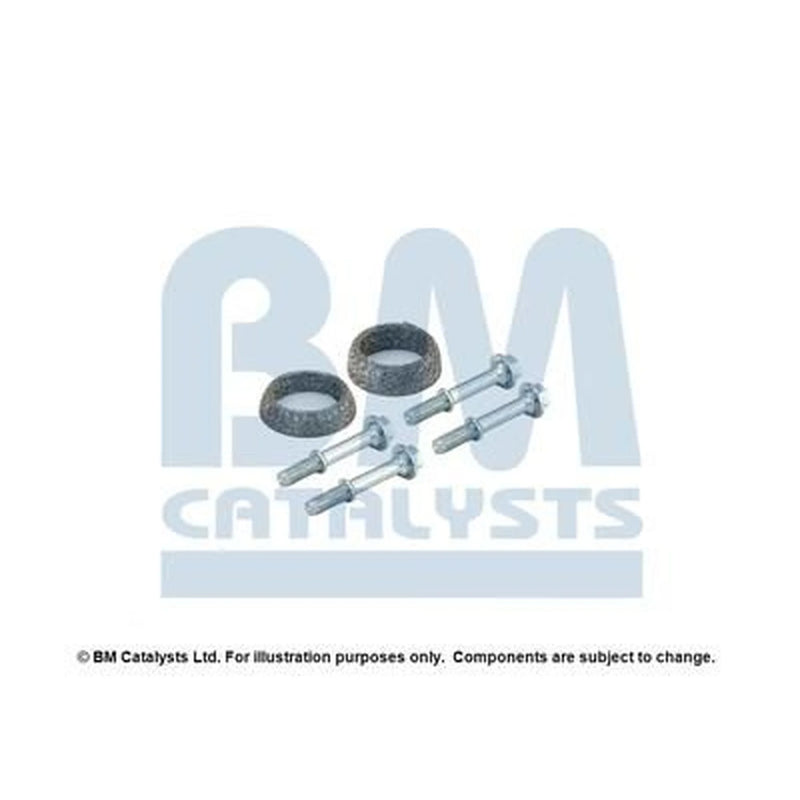 BM Catalysts Fitting Kit FK91816B FK91816B